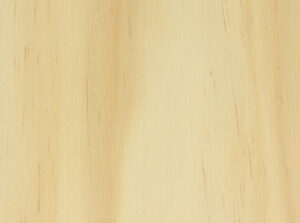 Accoya