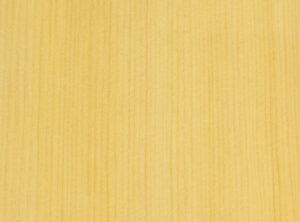 Alaskan Yellow Cedar