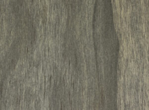Gray Accoya